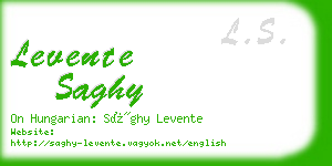 levente saghy business card